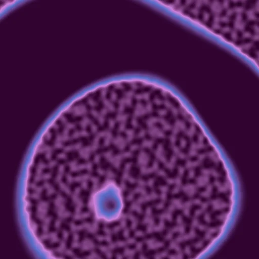 Velvet Ripple